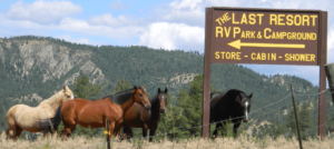 Horses at Last Resort Sign